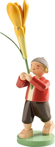 Junge mit Krokus